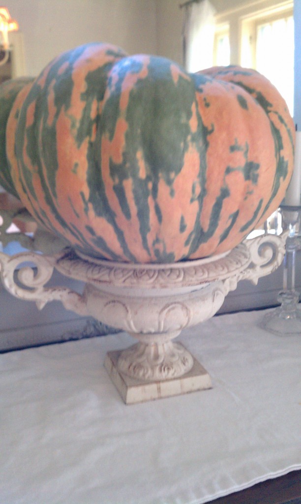 Fabulous Pumkin