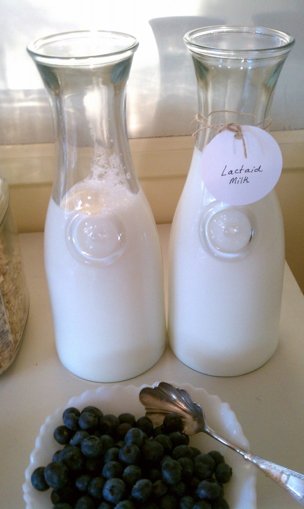 Cute Milk Bottles