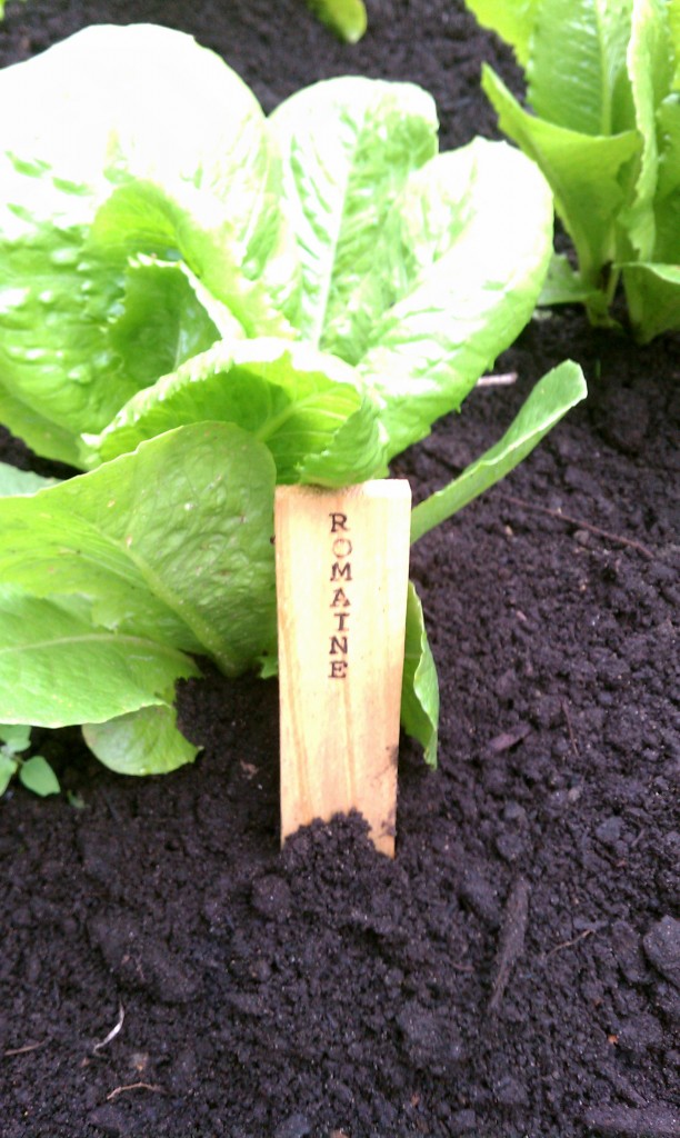 garden tag