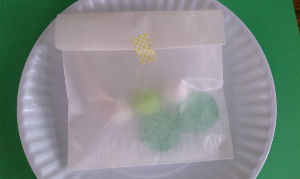 favor bag