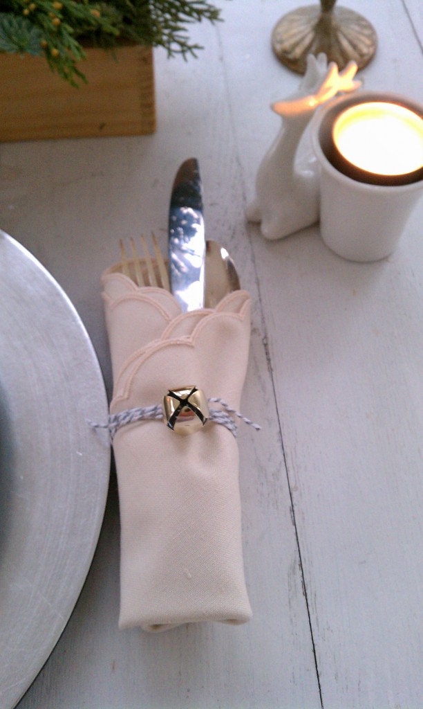 napkin