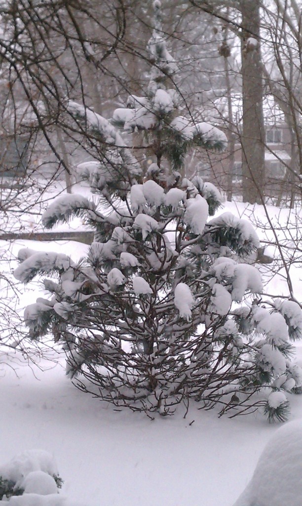 snow