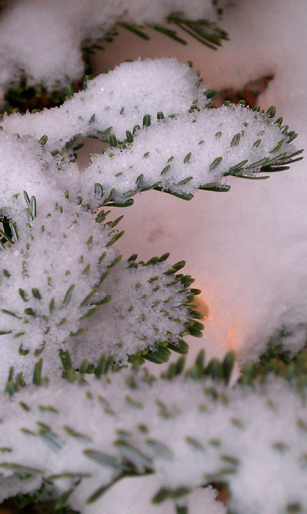 snow