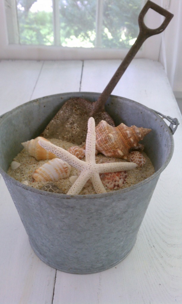 bucket of shells