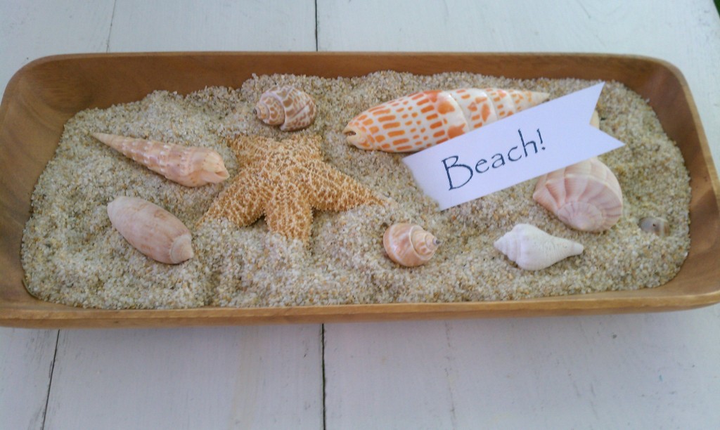 tray with shells