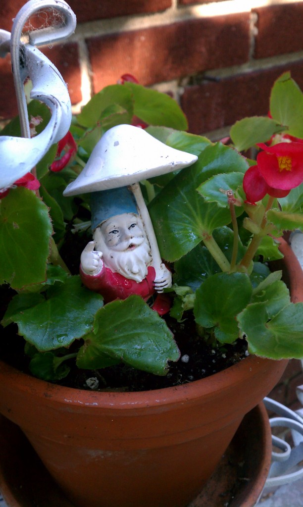 garden gnome