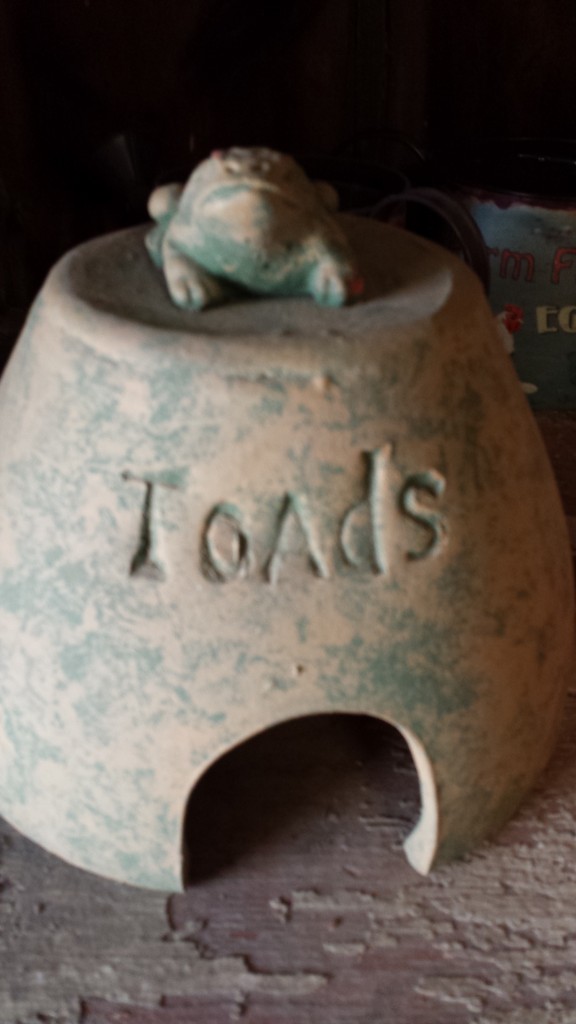 toad house