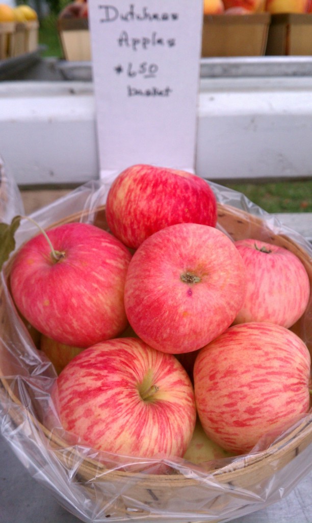 early apples