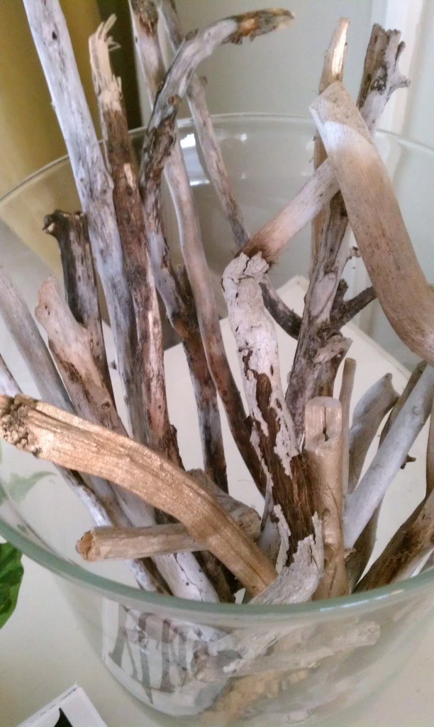 driftwood sticks