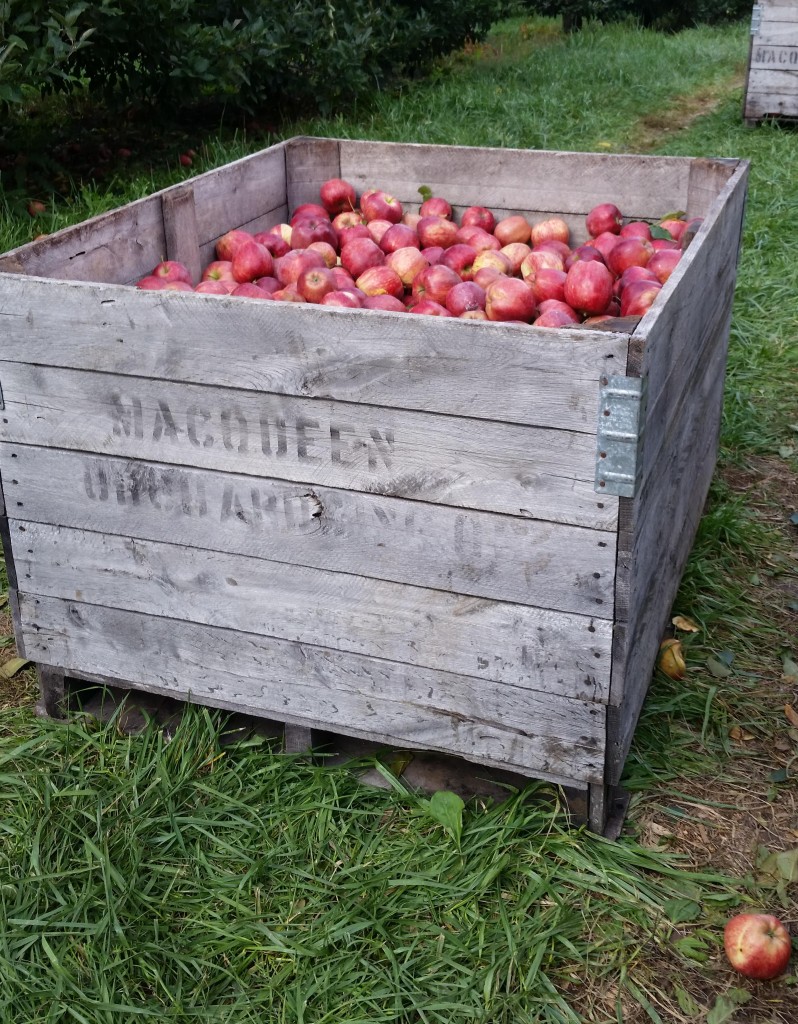 apple crate