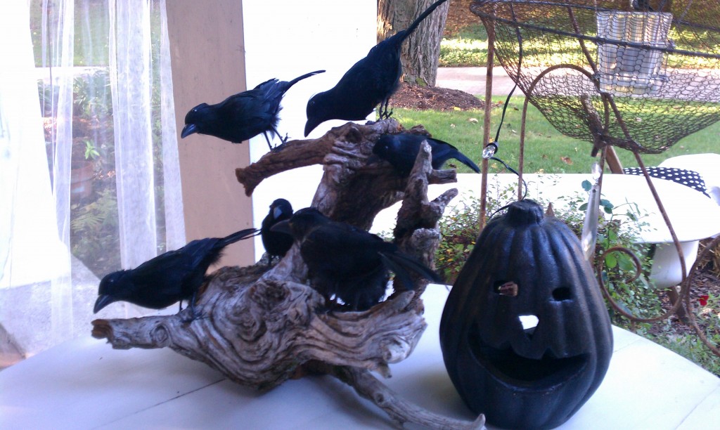 ravens on drift wood