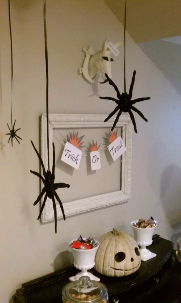 hanging spiders