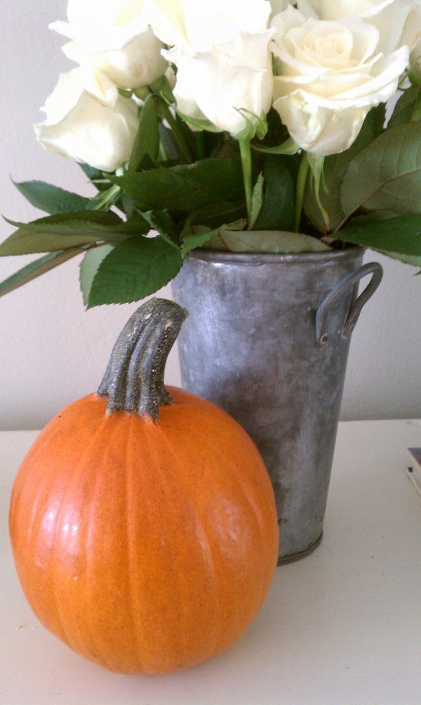 pumpkin