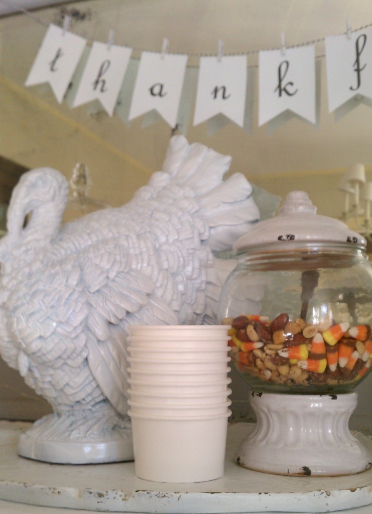 treat cups