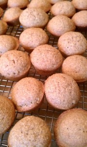 pumpkin corn muffins