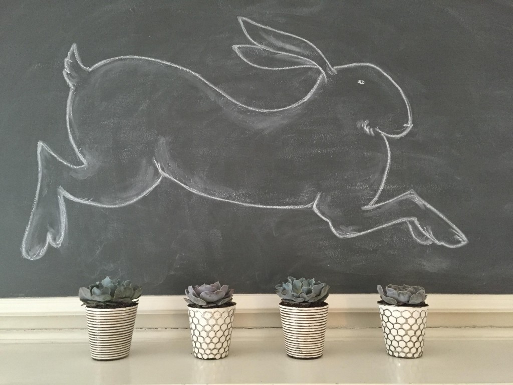chalk bunny
