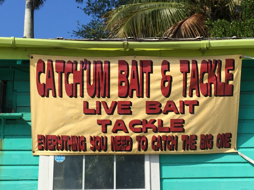 live bait sign