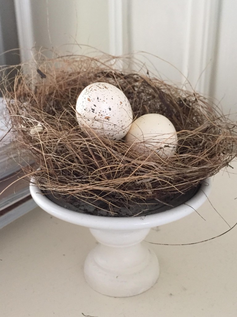 nest