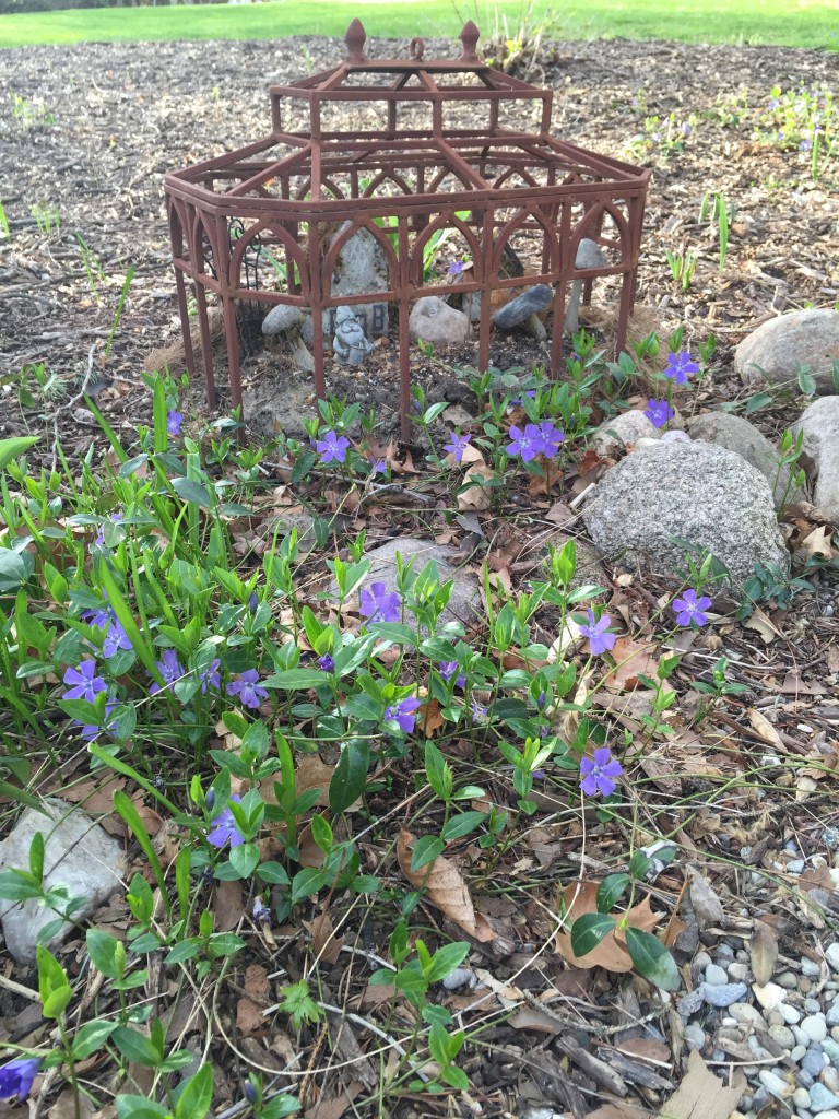 mini gnome garden