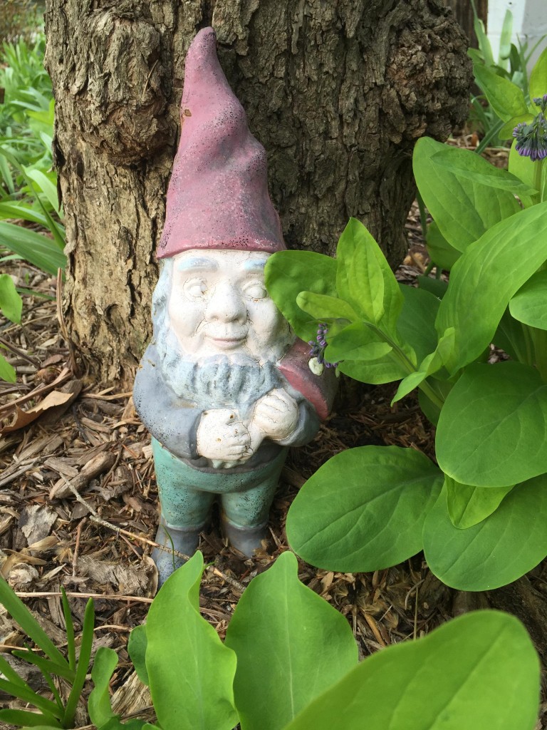 garden gnome