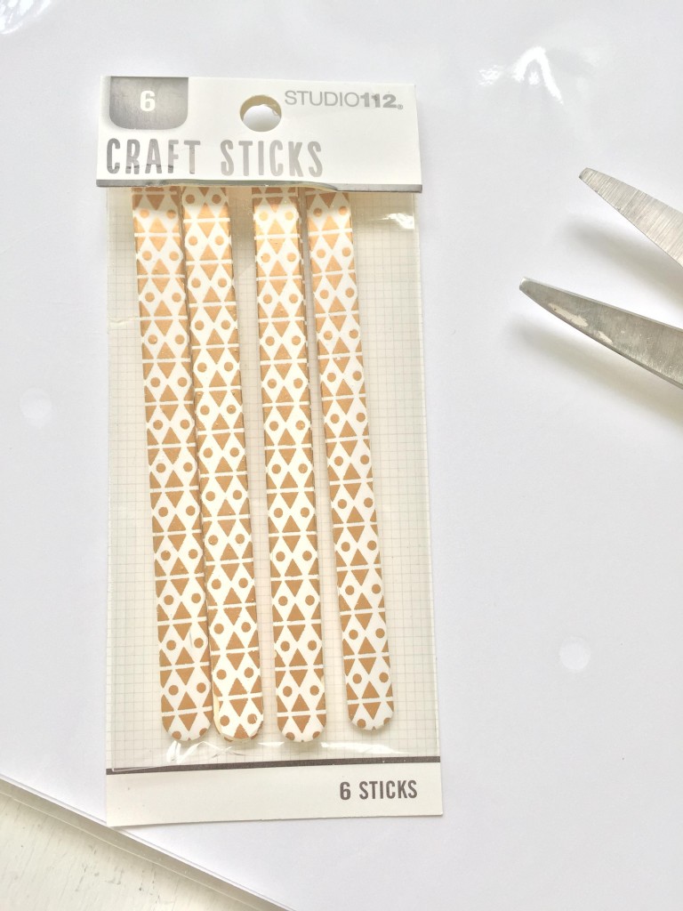 craft sticks