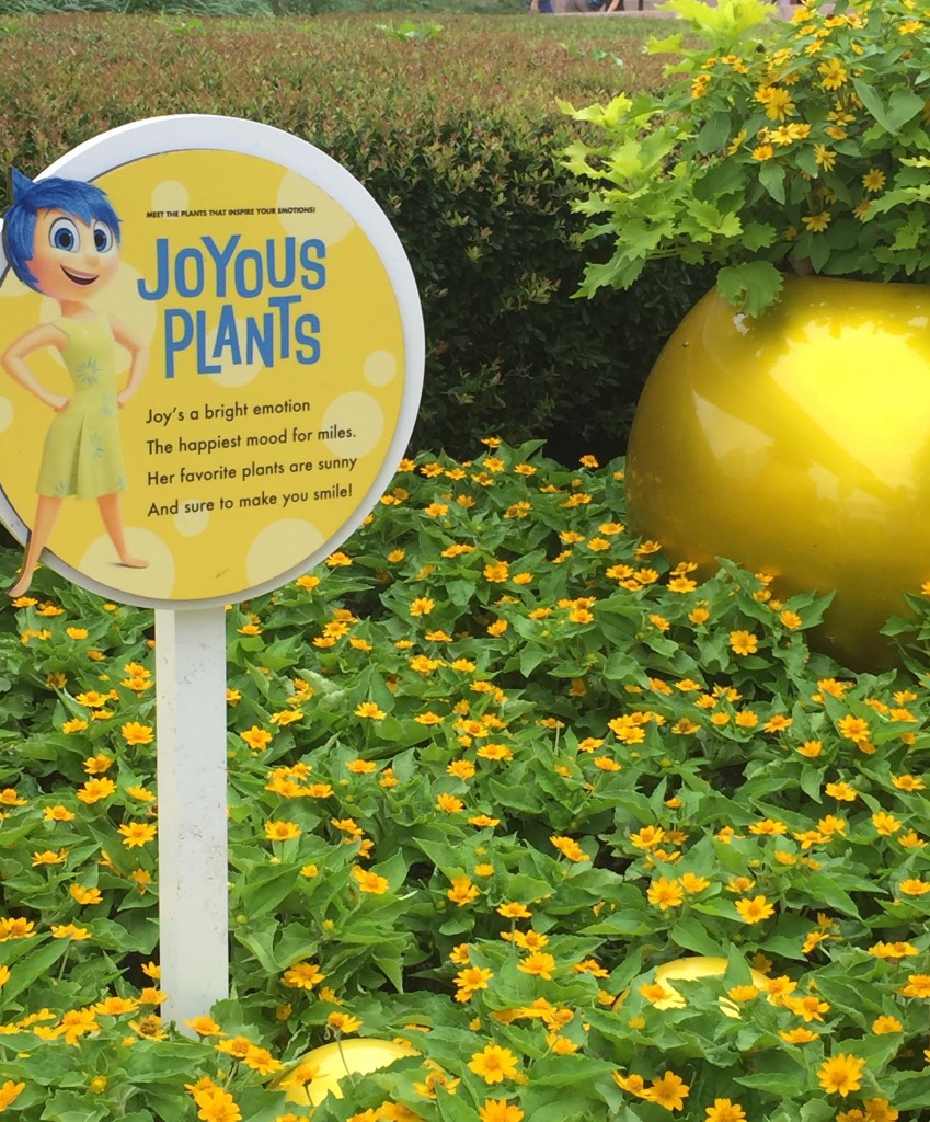 joyous plants