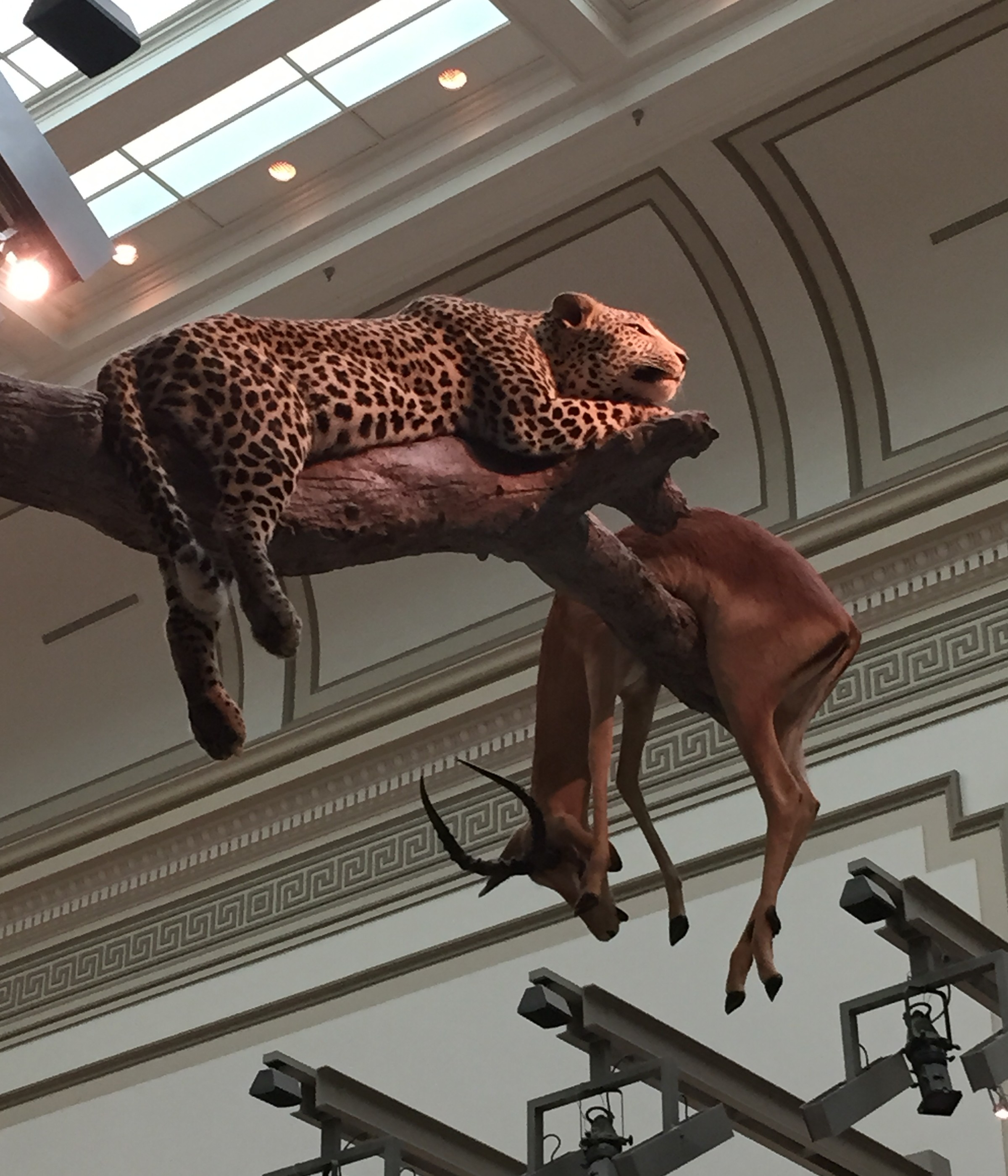 Natural History Museum