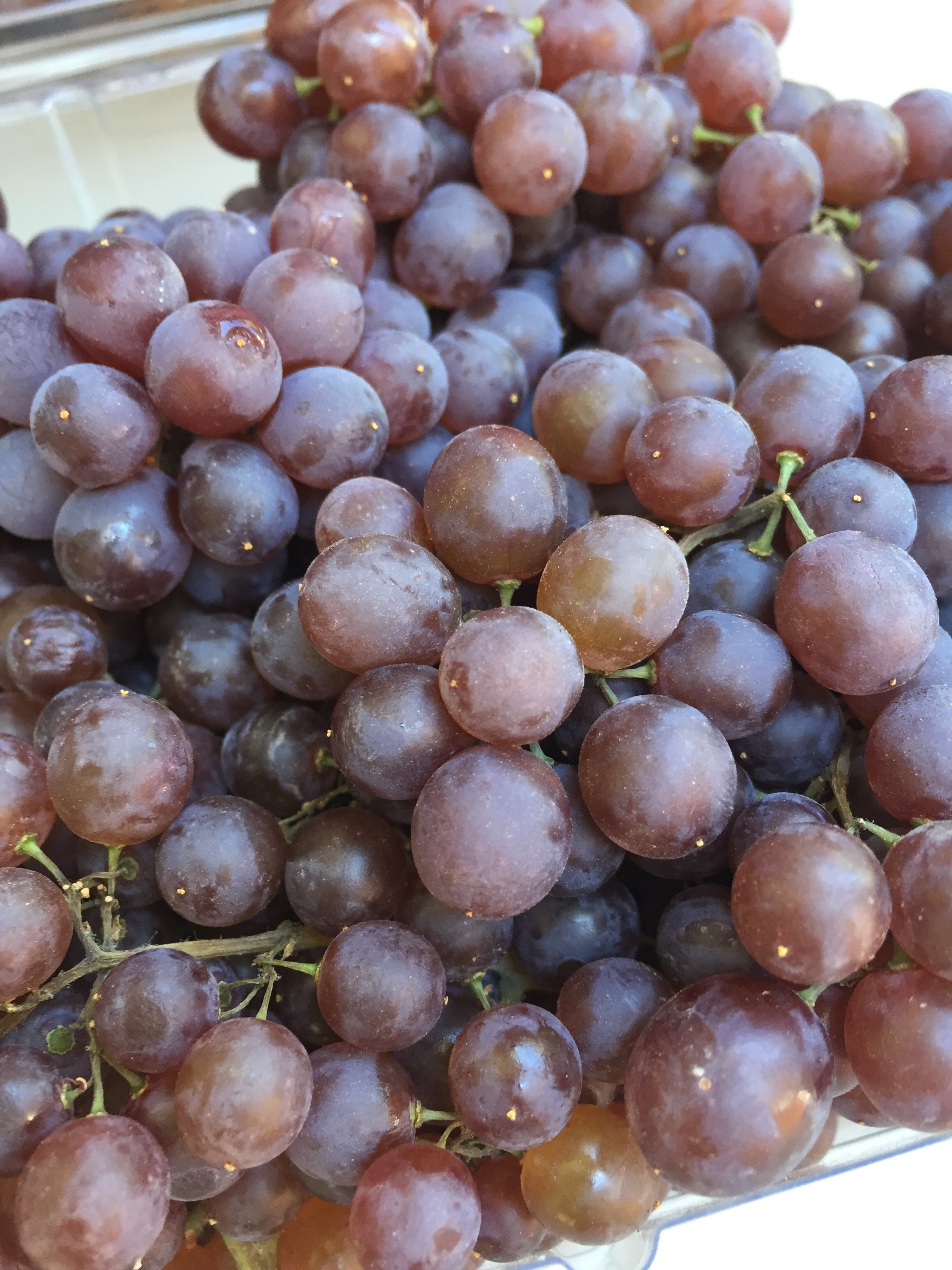 champagne grapes