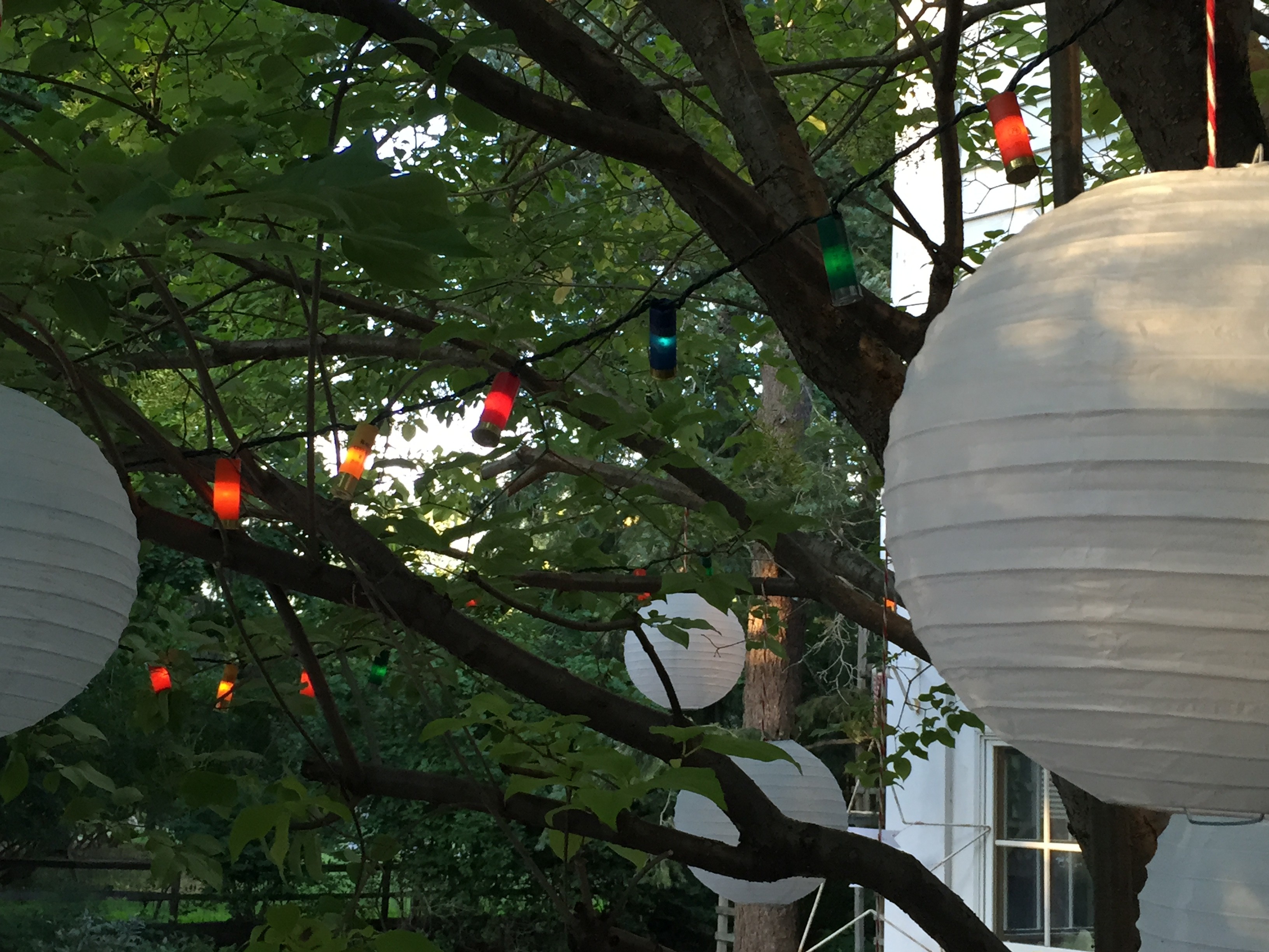 globes & lights