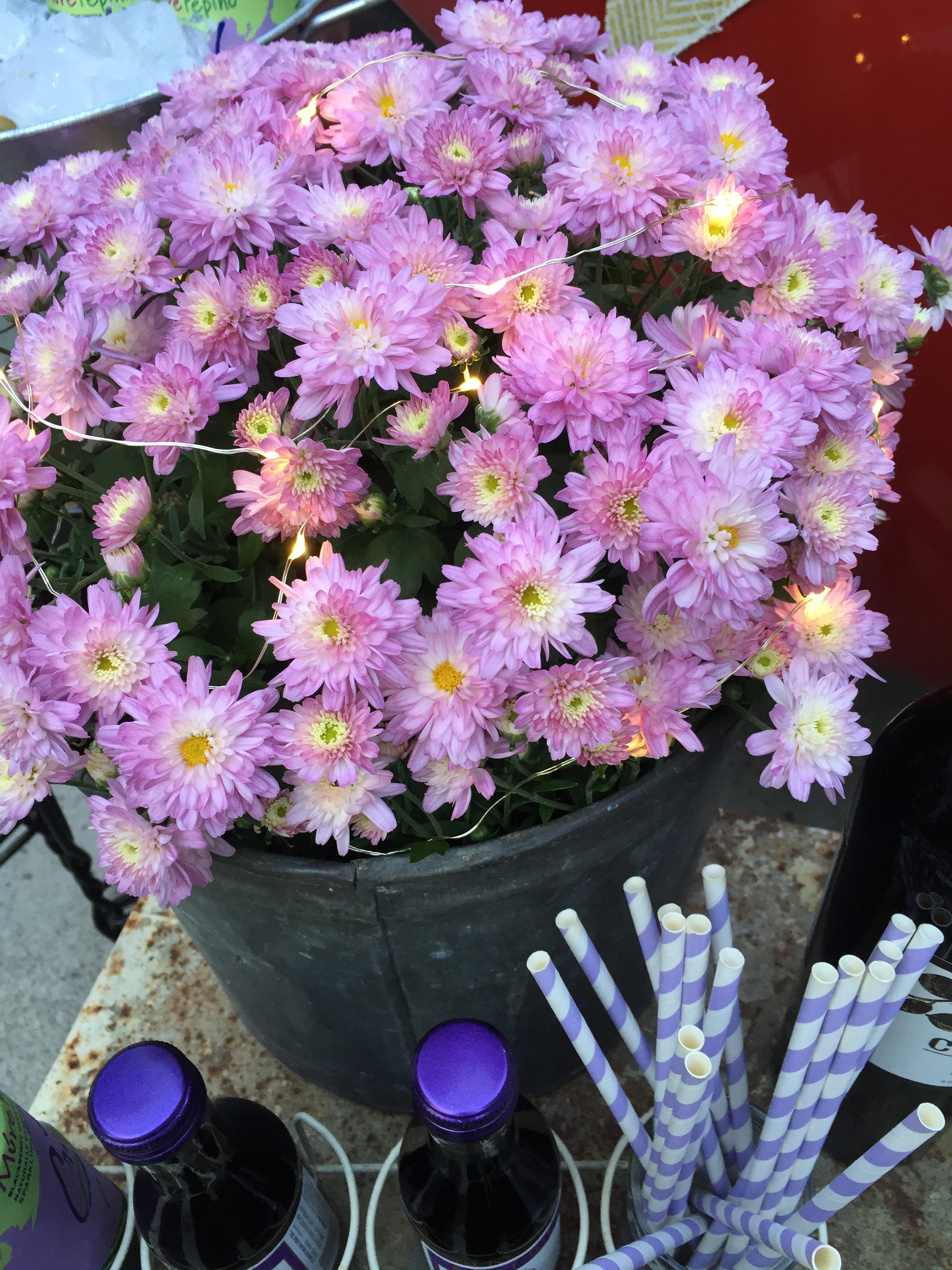 flowers