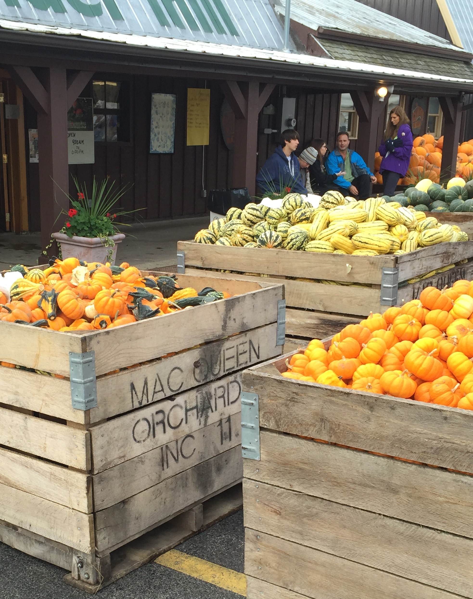 gourds