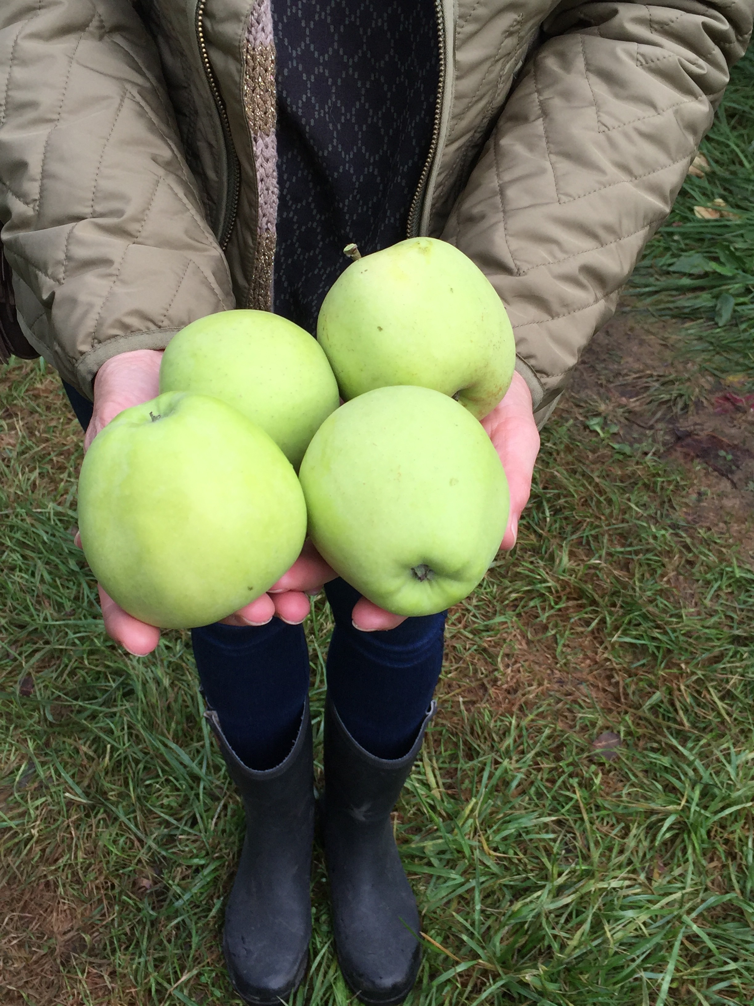 granny smith apples