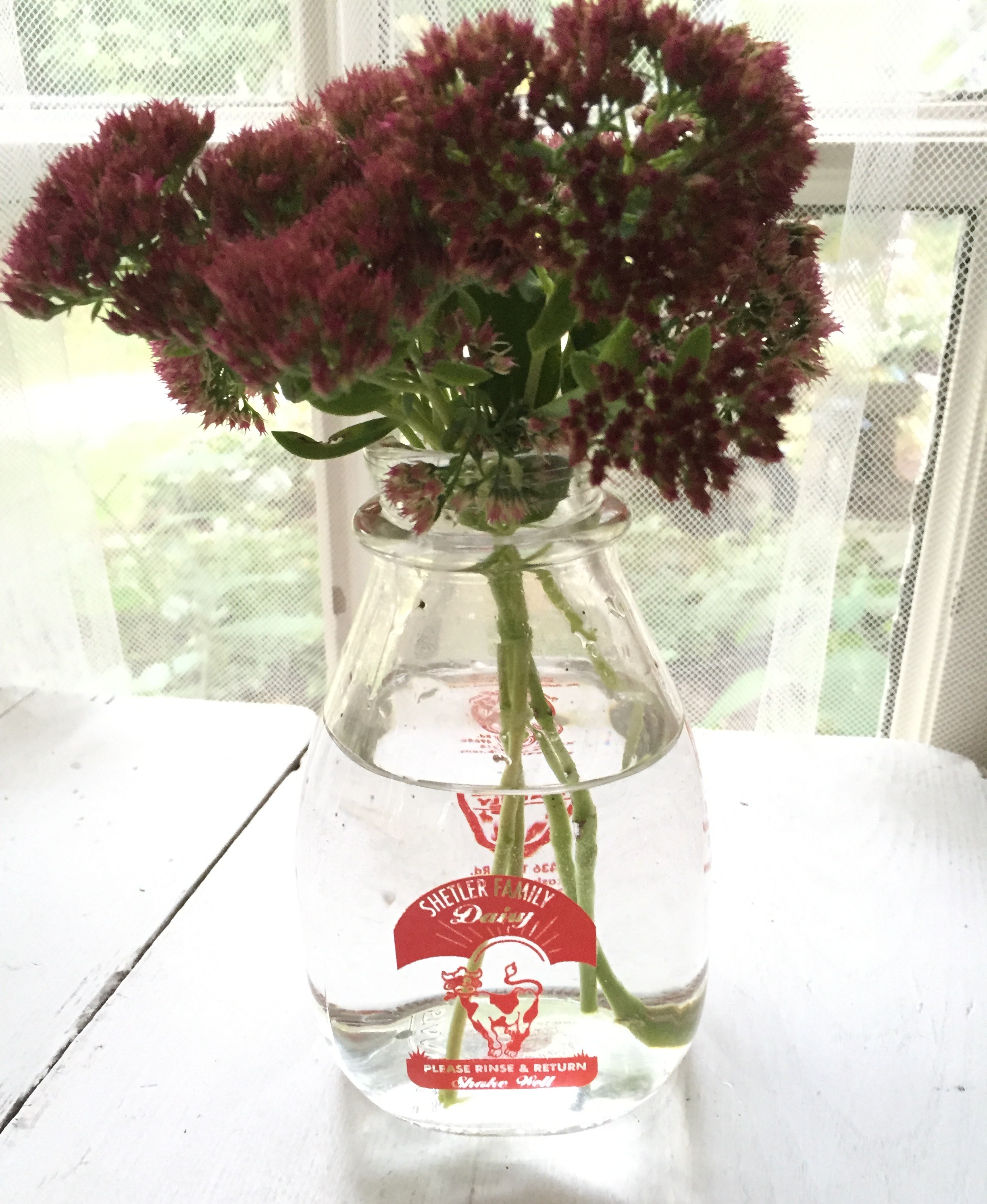 dairy container vase