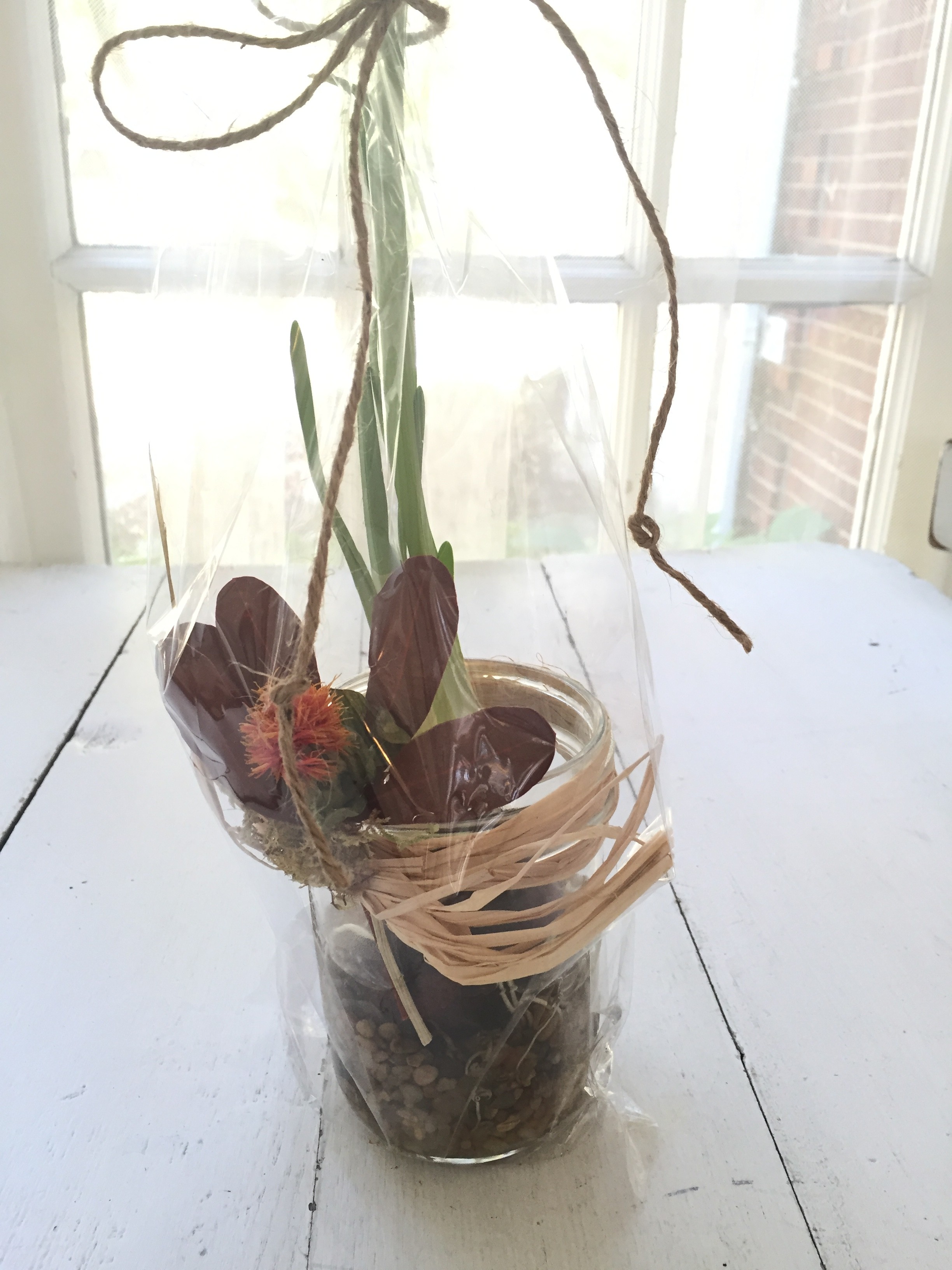 host gift: bulb in mason jar