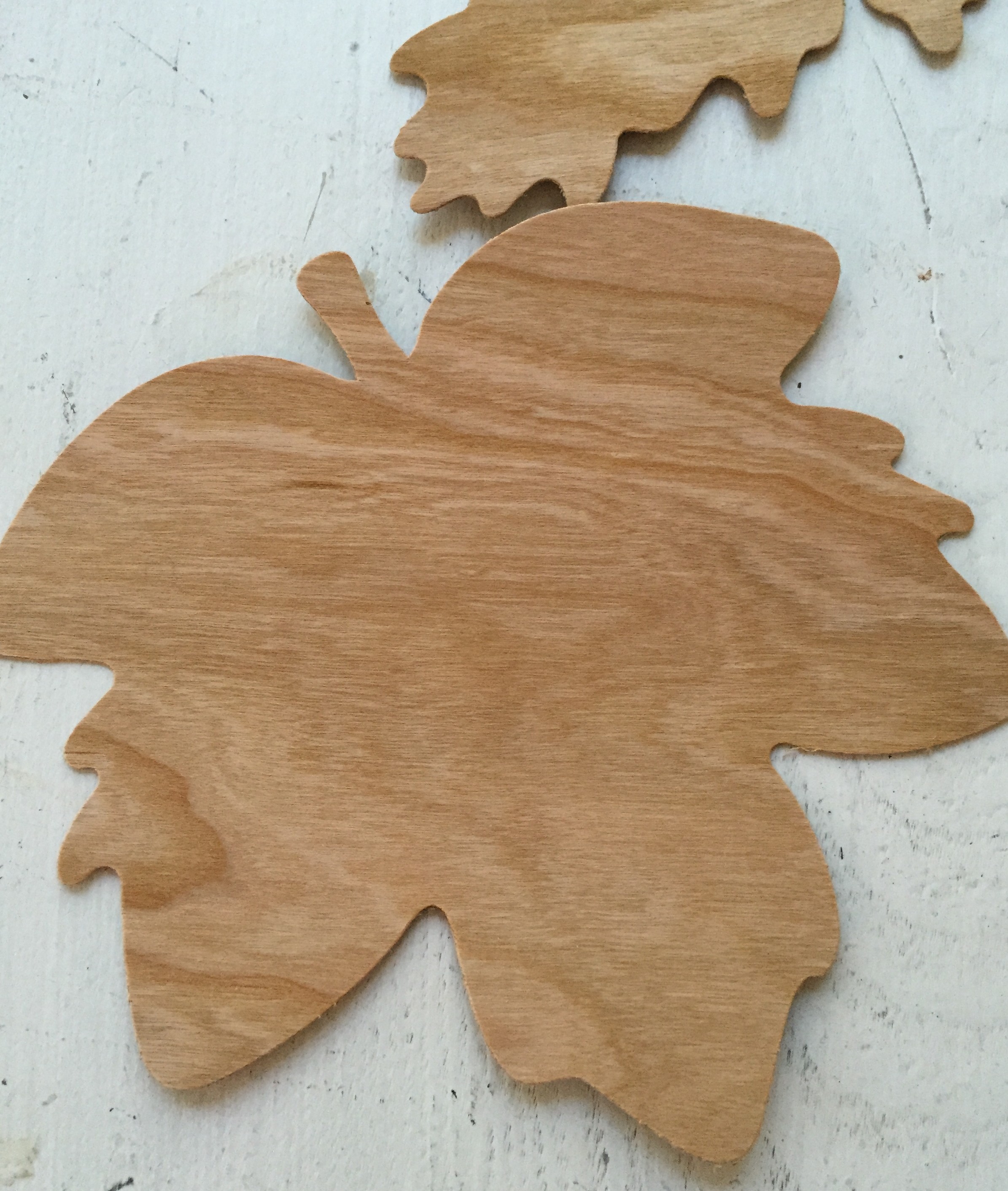 wood leaf