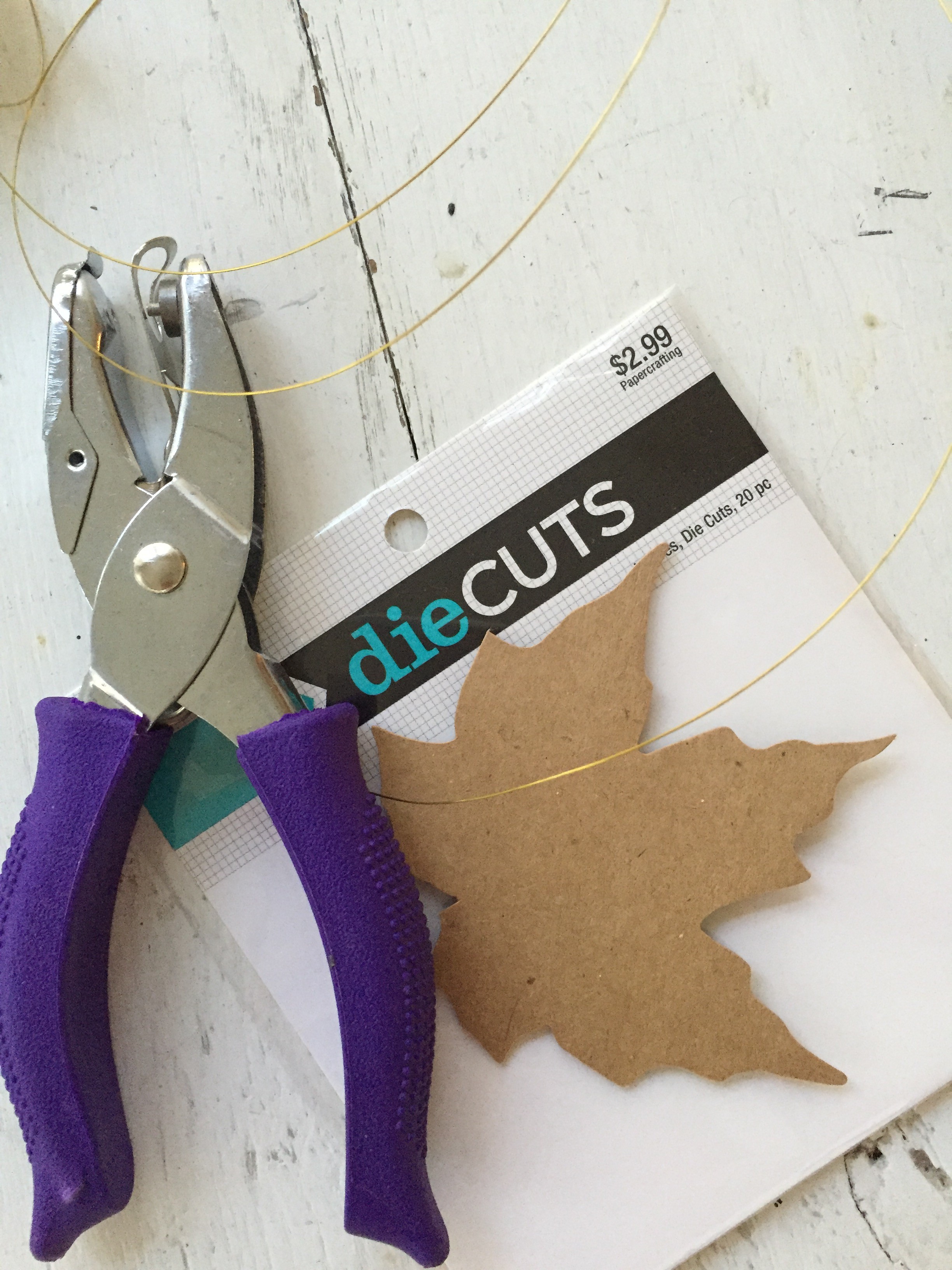 leaf supplies