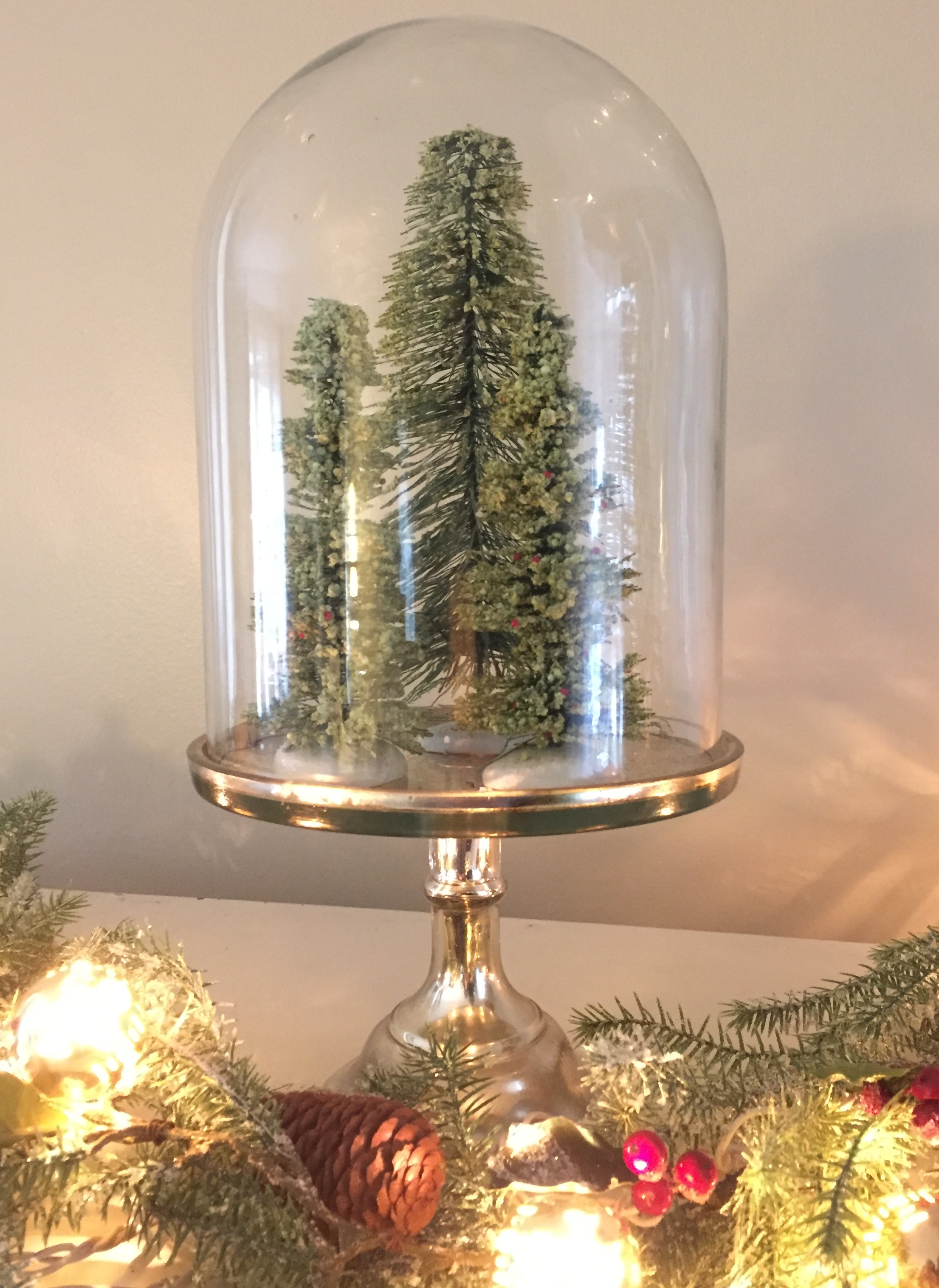 tiny trees in cloche