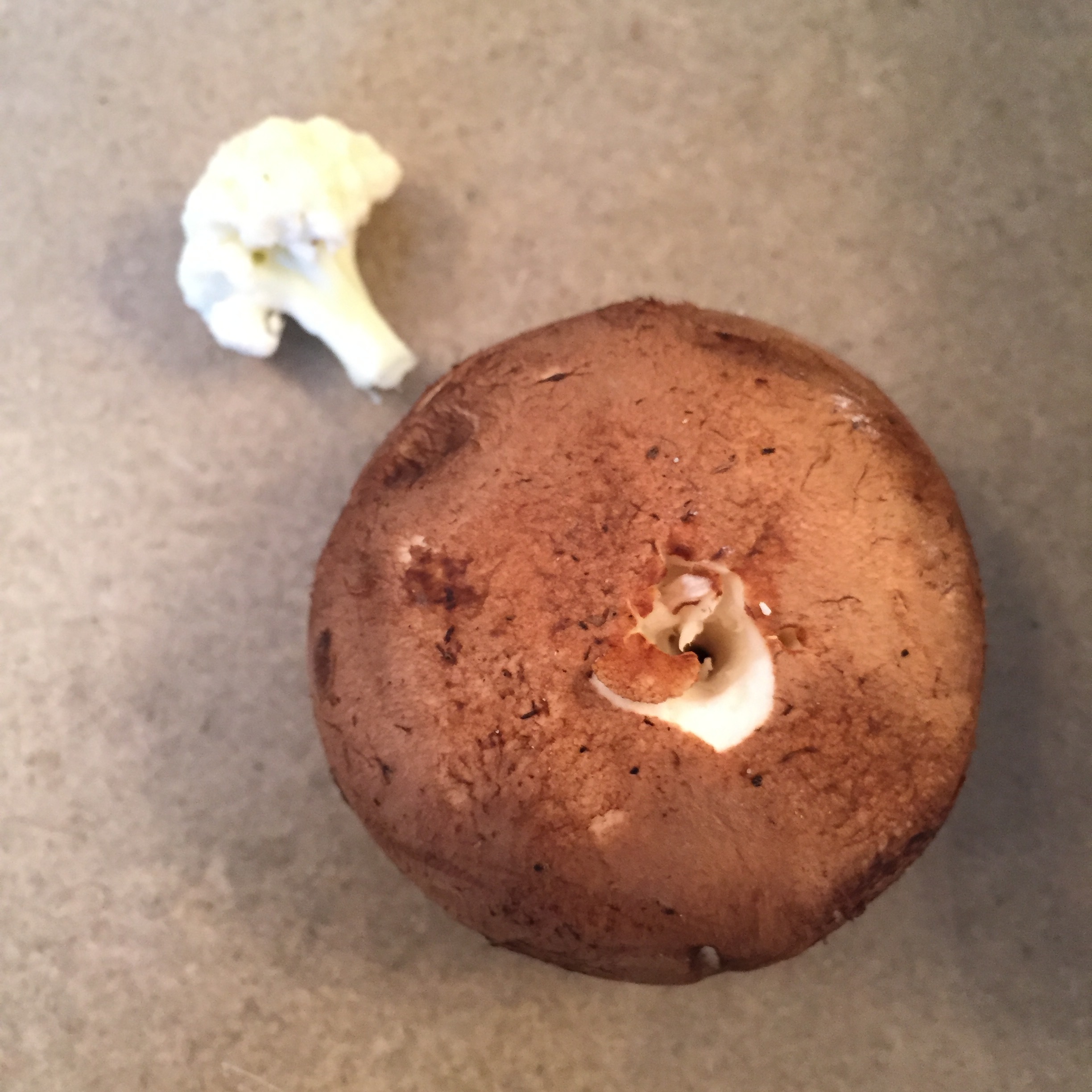 making a mushroom beanie