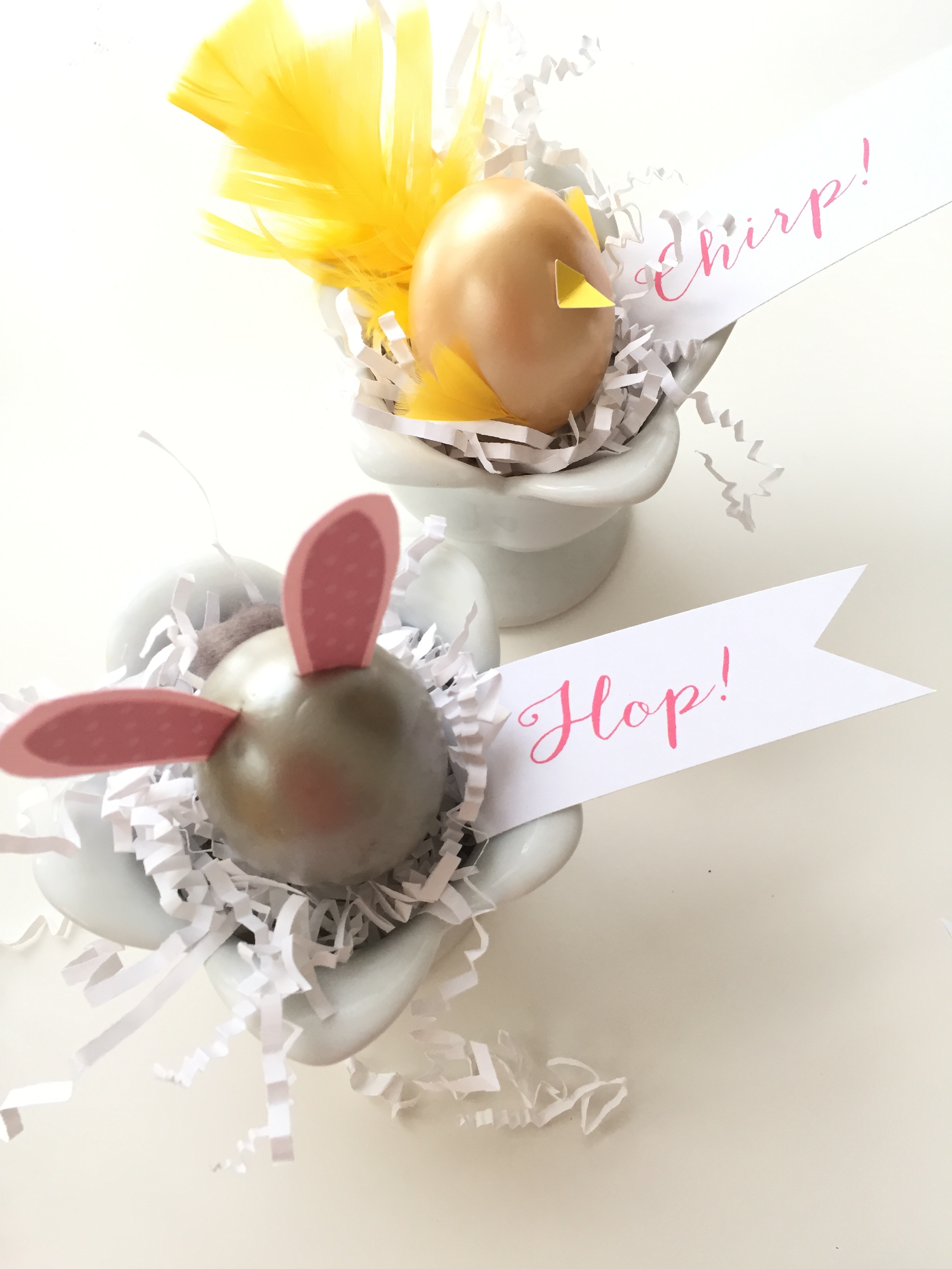 bunny & chick eggs