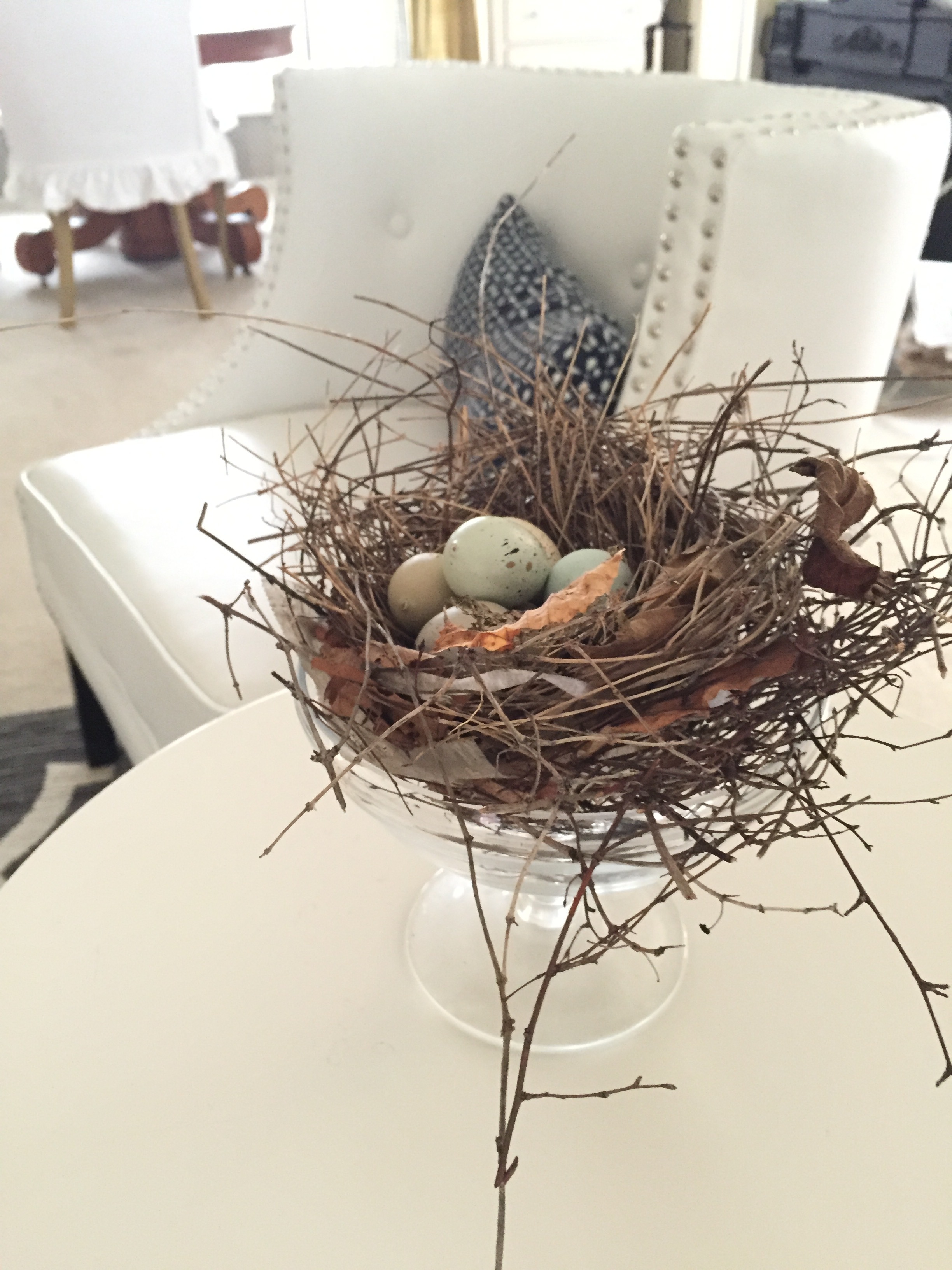 bird nest