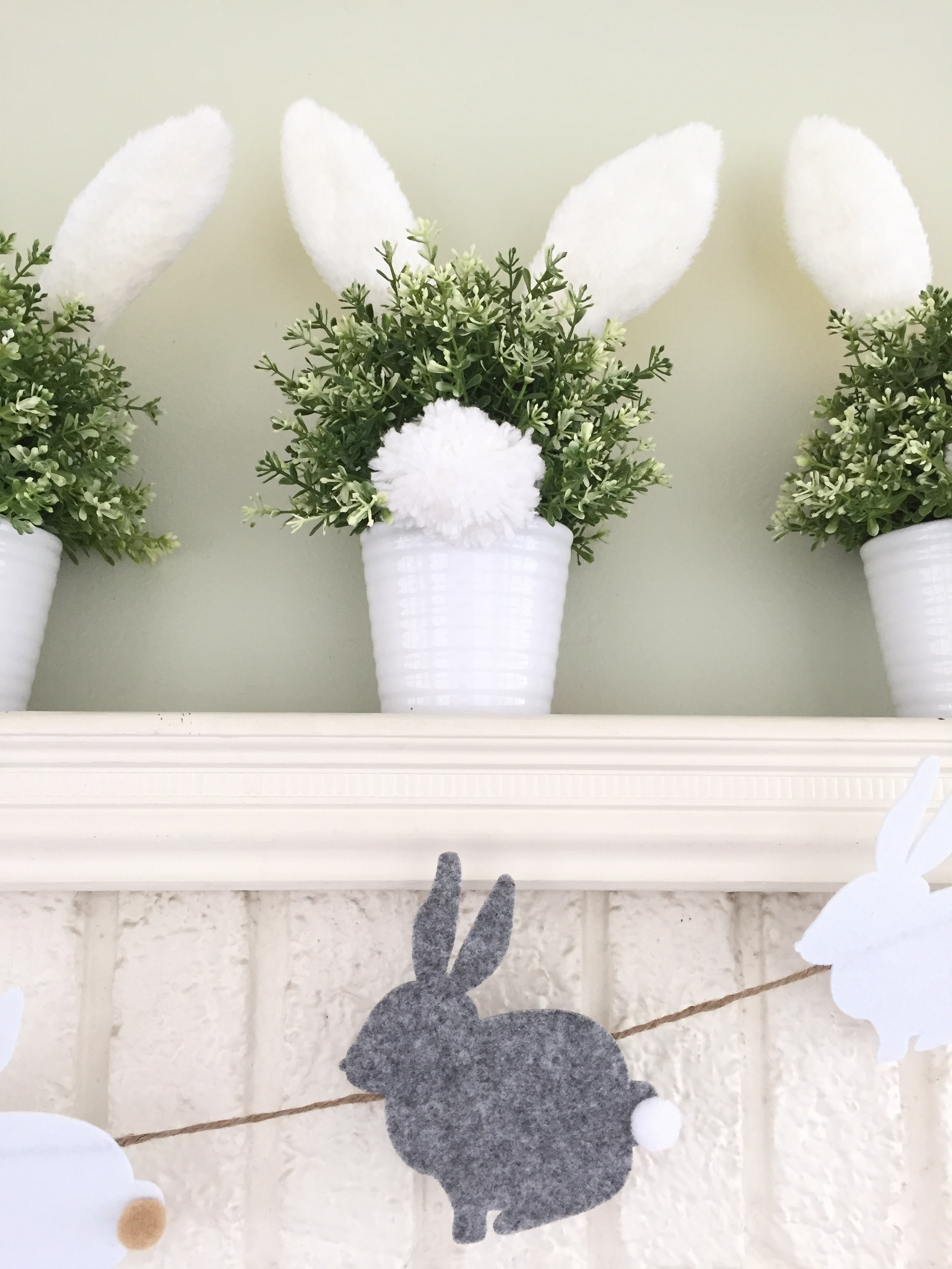 bunny tail pots