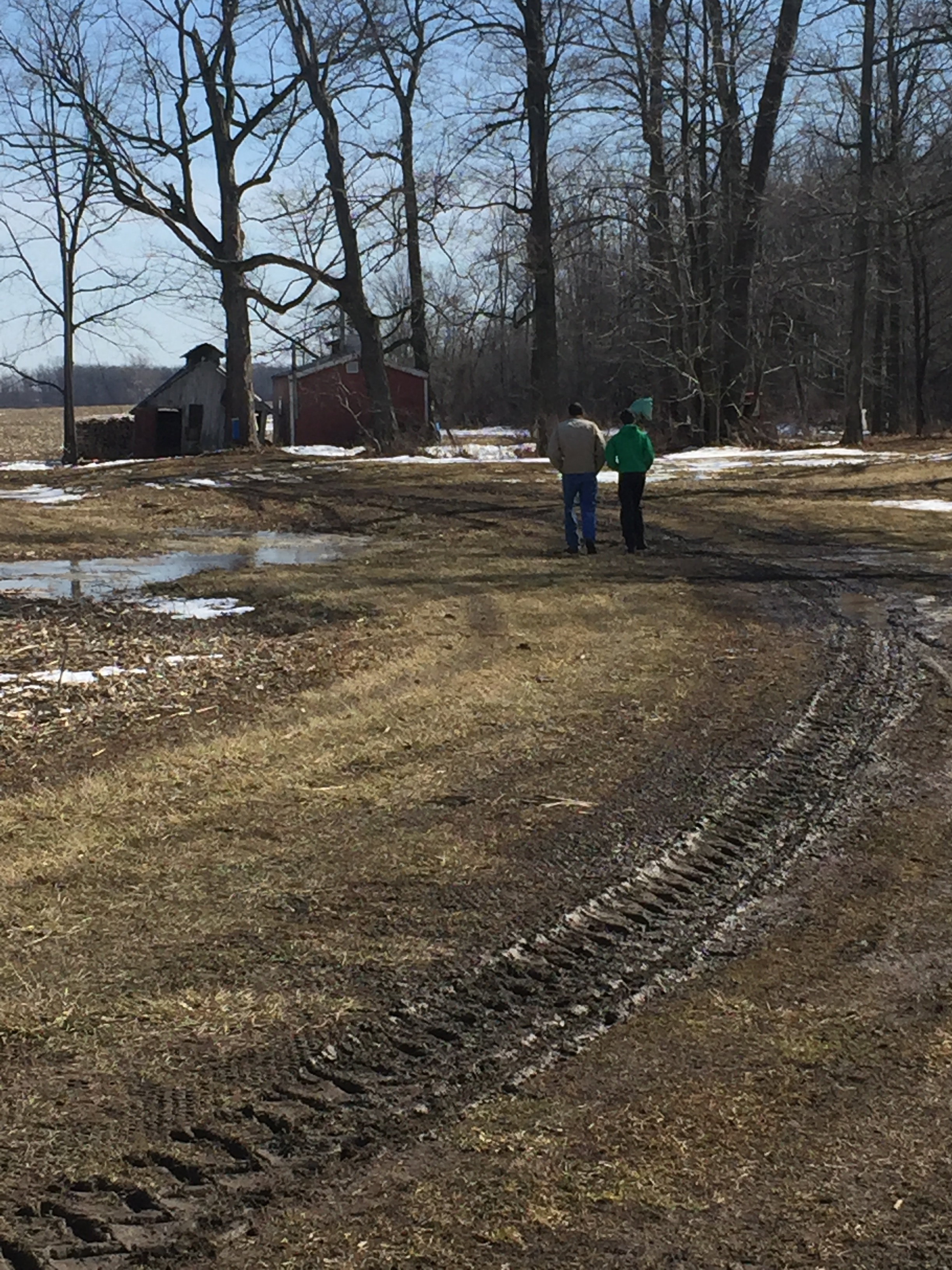 maple syrup camp