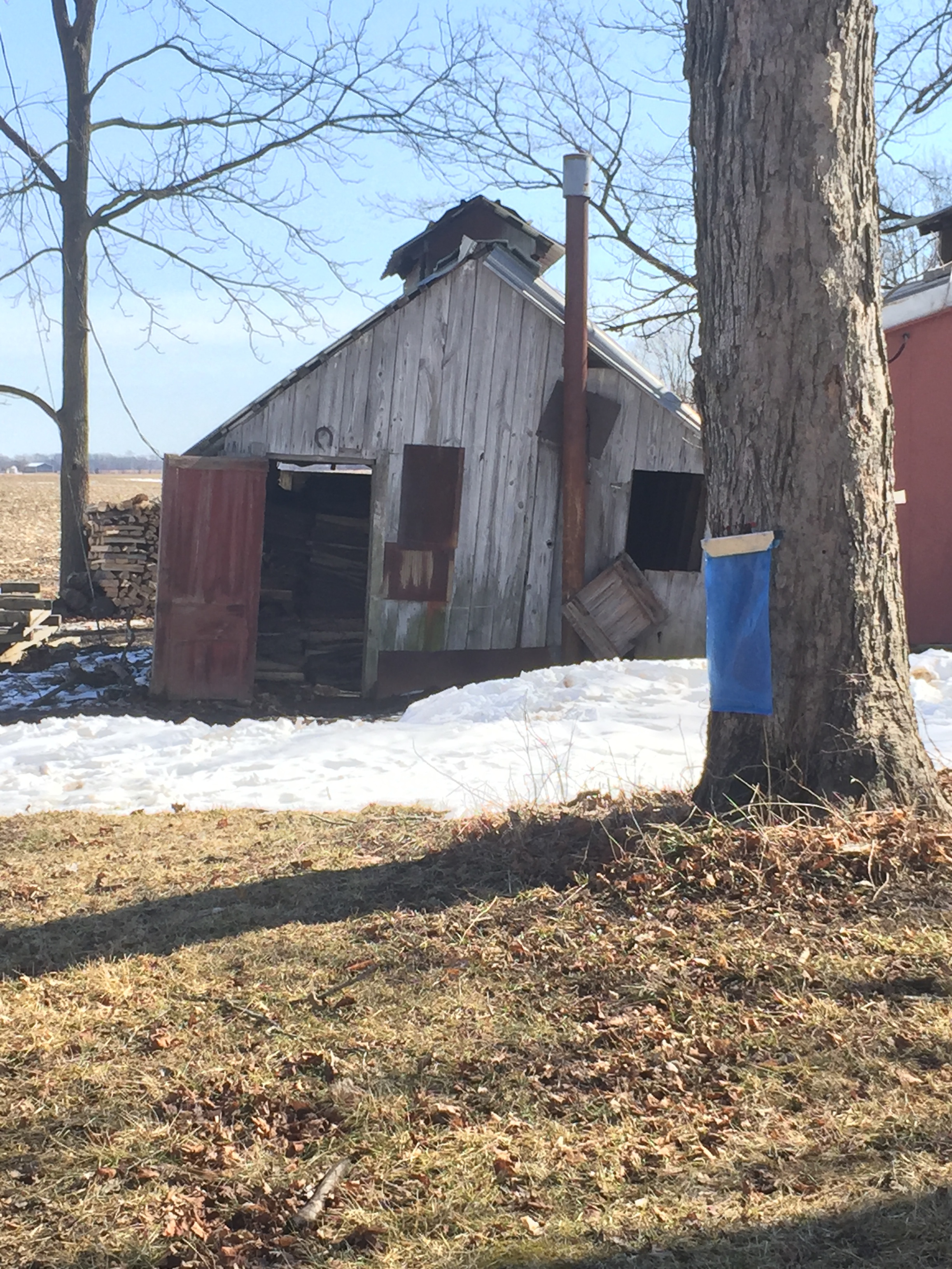 old sugar shack