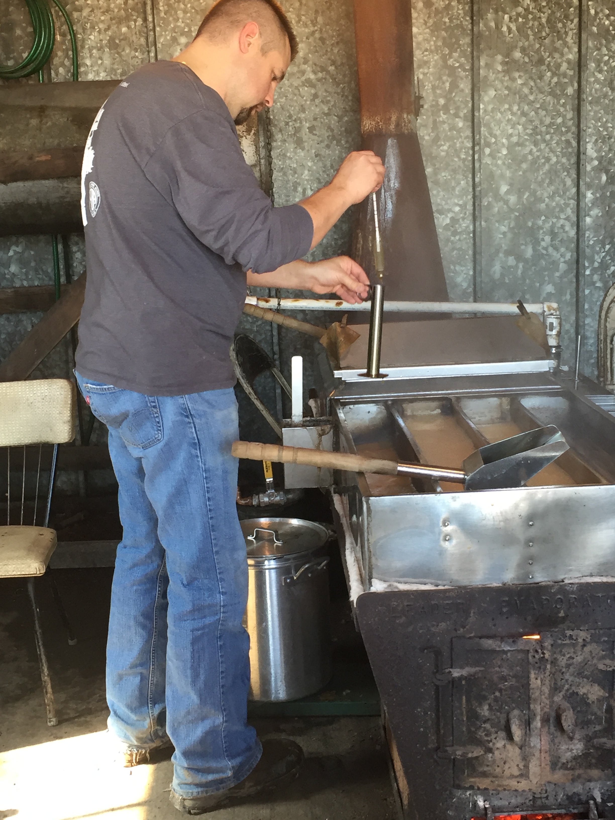 making maple syrup