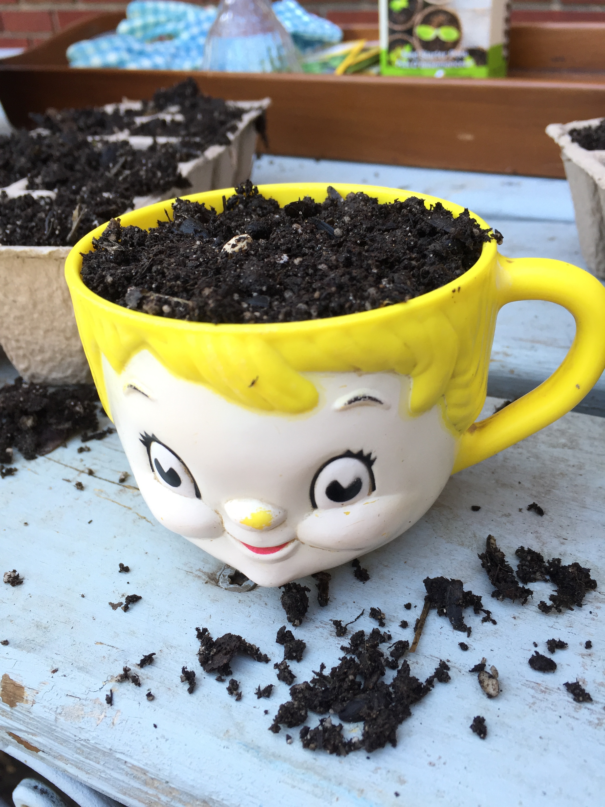 cup planter