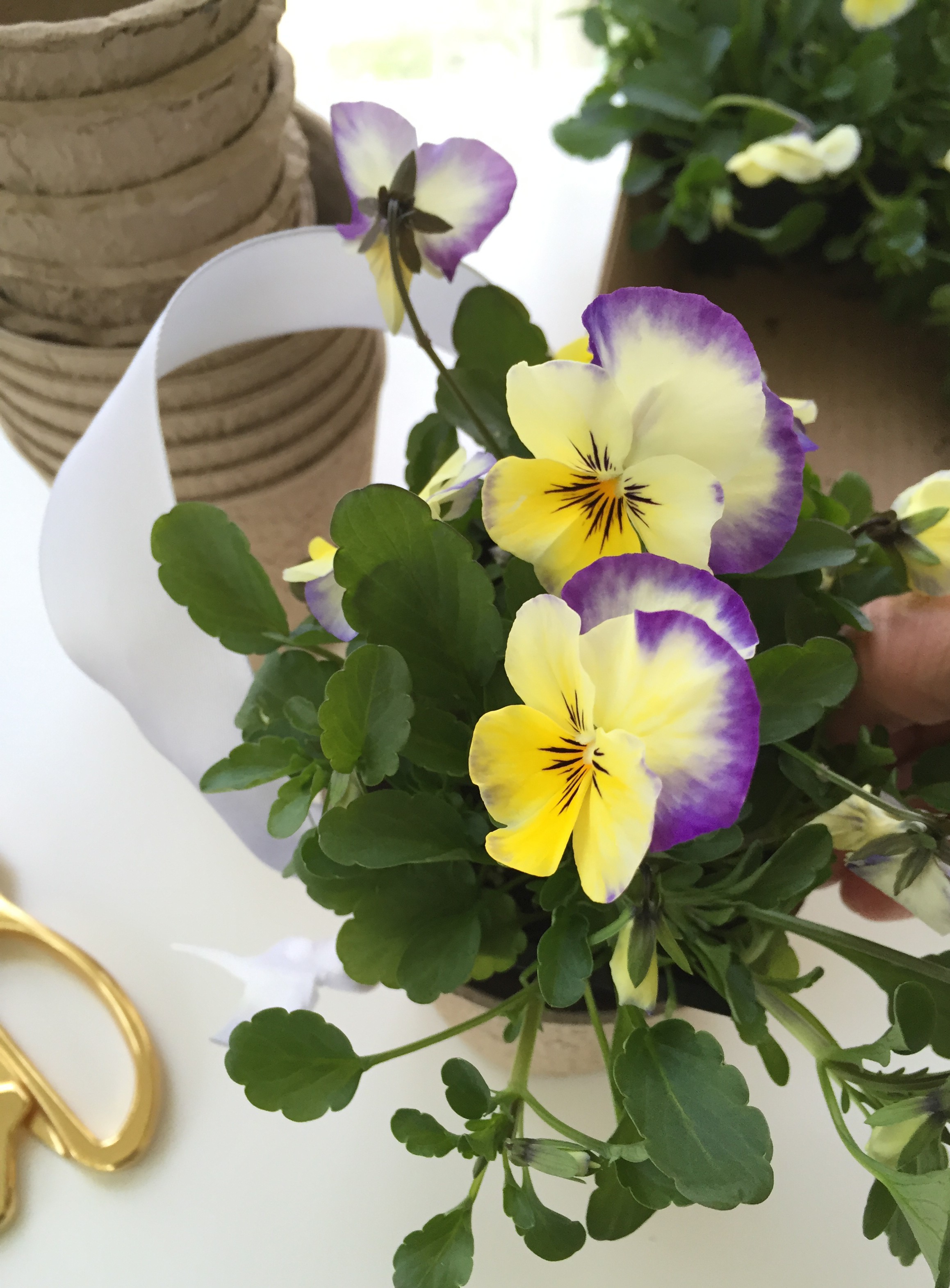 making May baskets