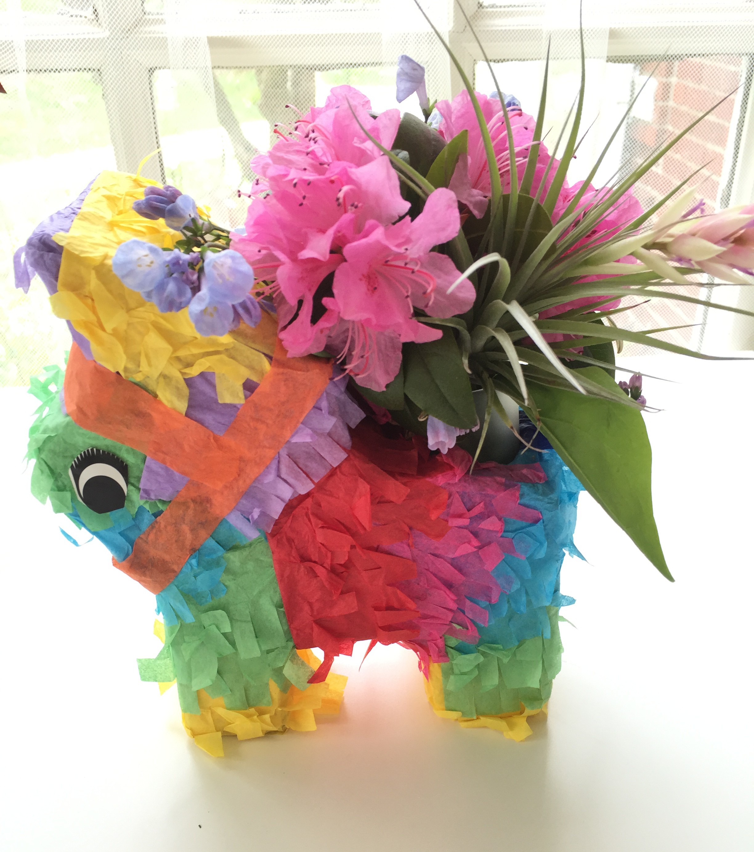 flowers in pinata