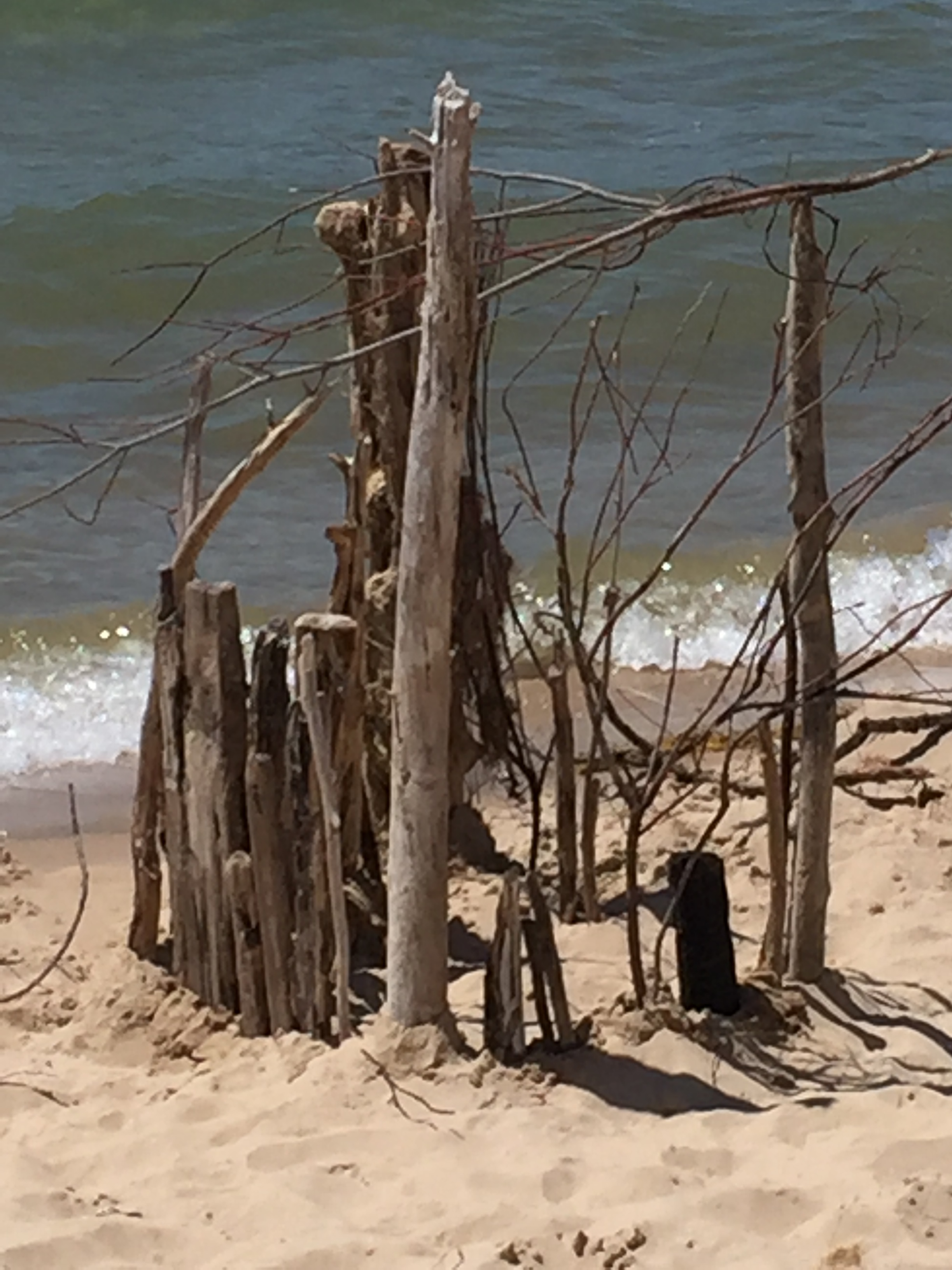 driftwood castle