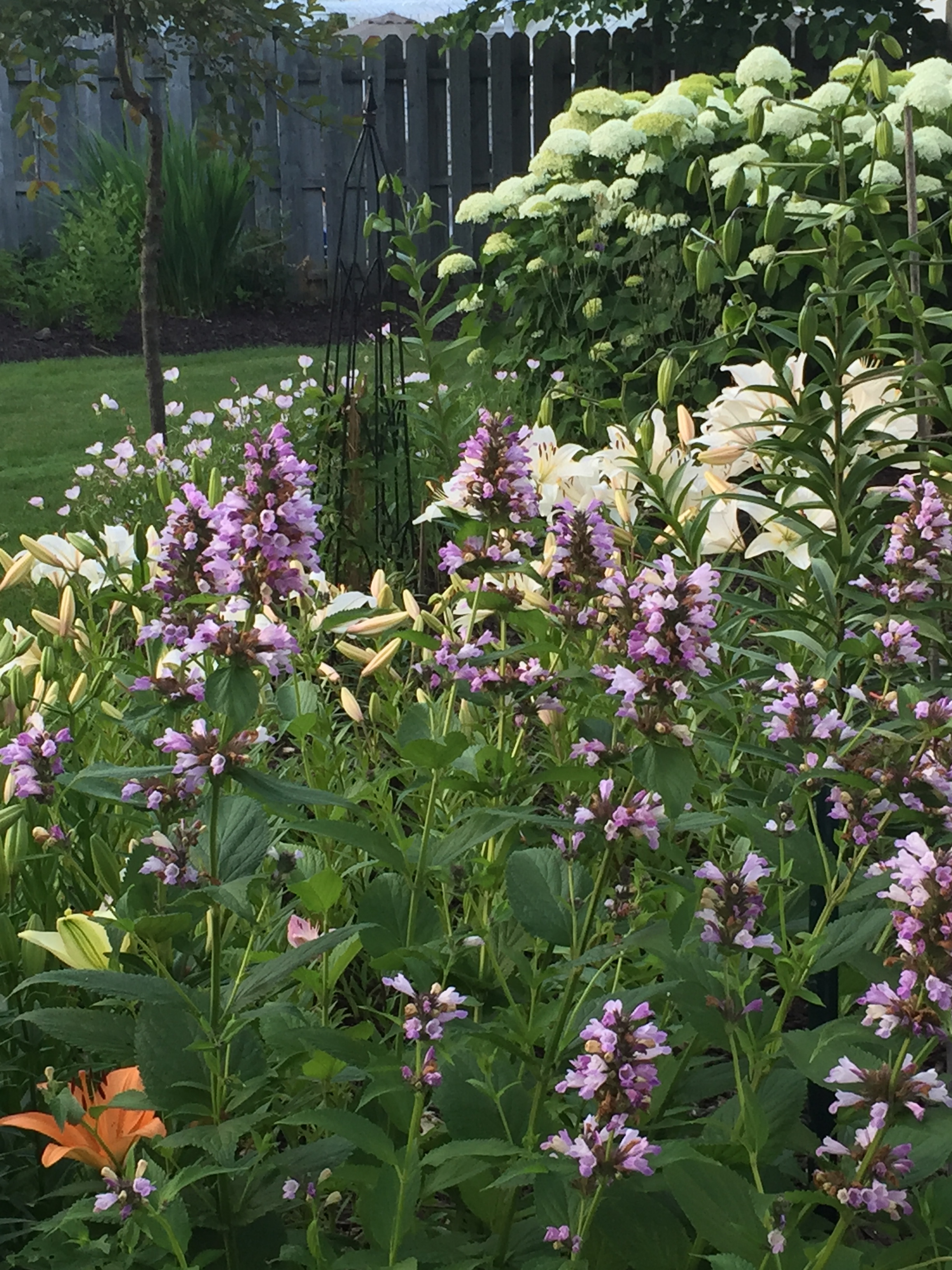 garden flowers