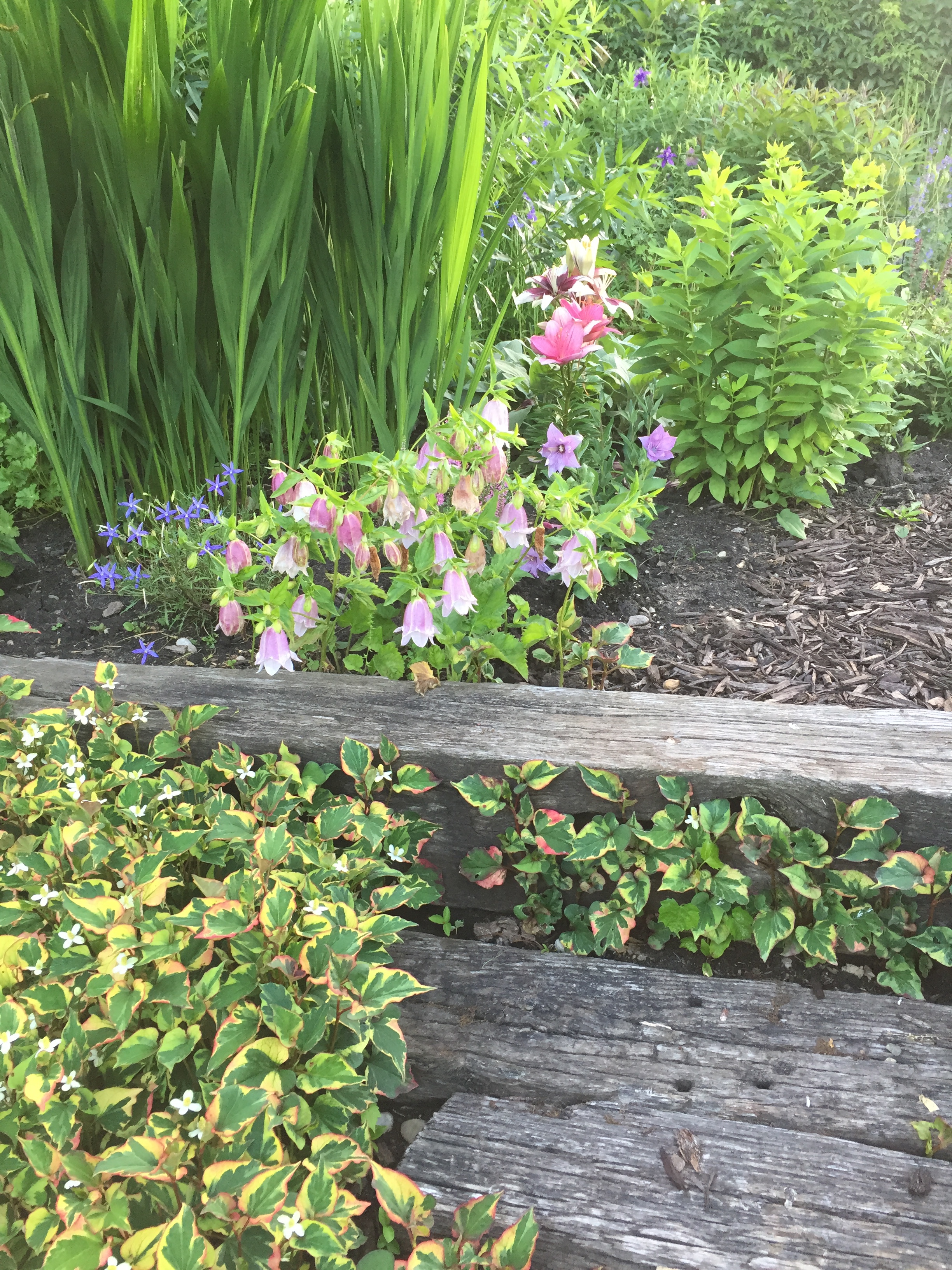 garden steps